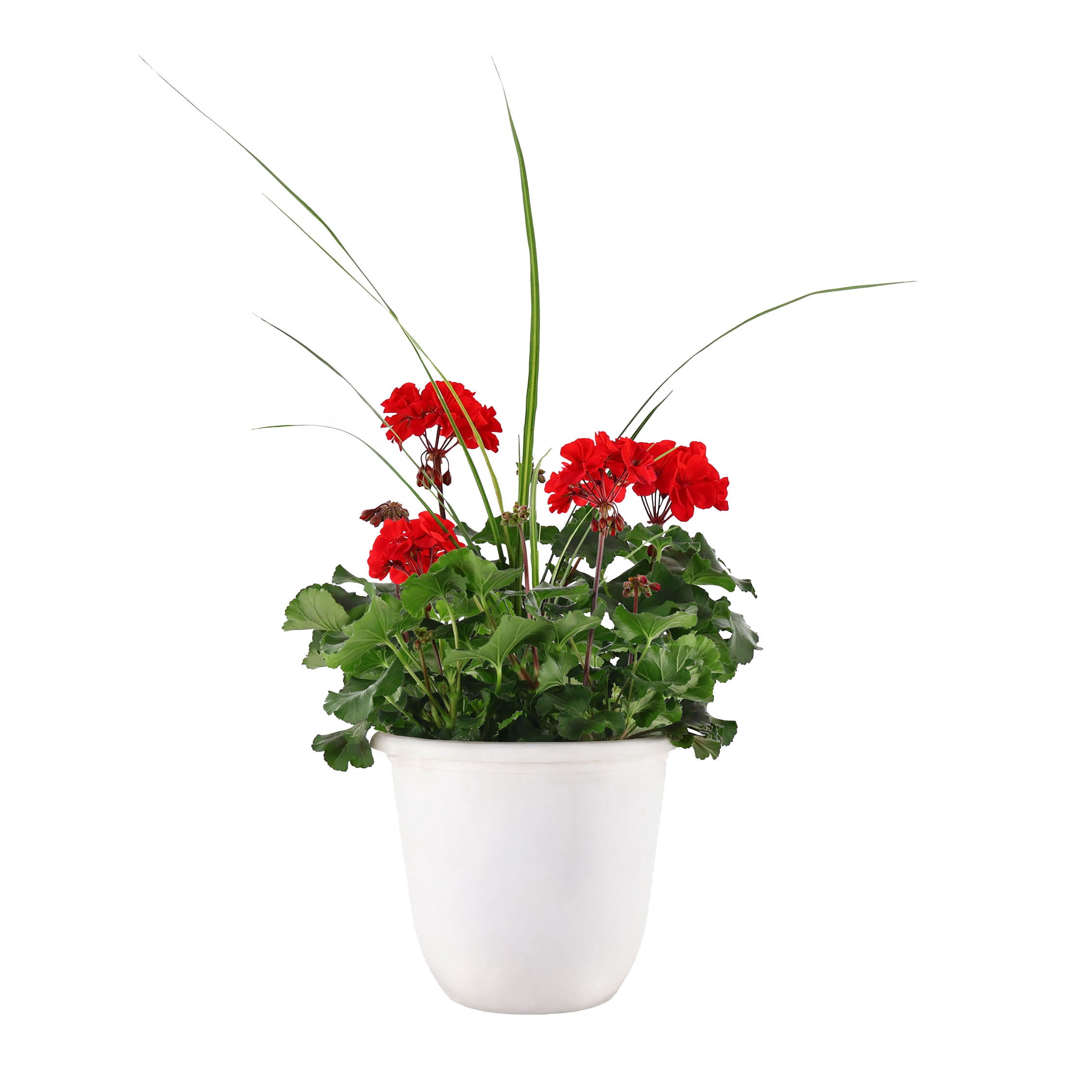 Expert Gardener 18