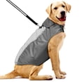 thumbnail image 3 of EeaseMX Parka impermeable para mascotas, abrigo de invierno, ropa cálida para perros, talla XXL (negro), 3 of 8