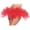 Red, variant on Adult Tutu