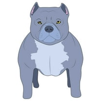 American Bully Decal | Indoor/Outdoor | Dog Lover Super Cute Sticker for SUV Windows, Dorm Rooms, Bedroom, Offices | SignMission personalized gift | 18"