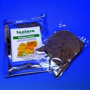 10pcs 4"~7" Tantora Catappa Leaves Grd A Indian Almond Leaf KETAPANG aquarium