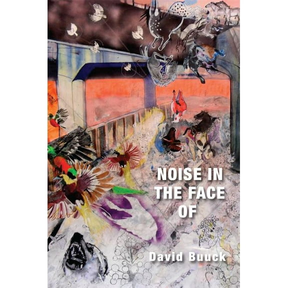Noise in the Face of (Paperback)