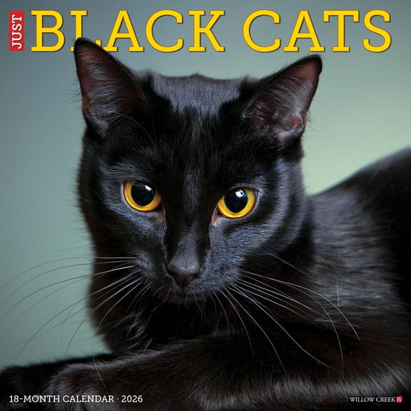 Black Cats 2026 Wall Calendar, (Paperback)