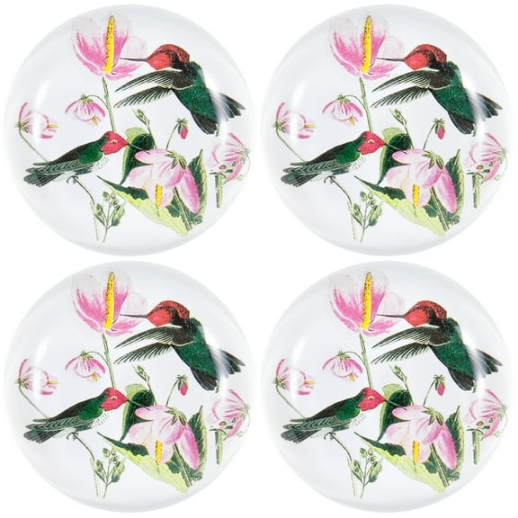 Colombian Hummingbirds In Flowers Set of Four Crystal Magnets