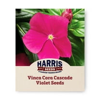 Harris Seeds - Vinca Cora Cascade Violet with White Eye Flower Seeds - 100 Seeds