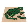 thumbnail image 3 of 2pcs Juguete de Rompecabezas de Animales Modelo de Rana/ de para Desarrollo de Inteligencia de Baoblaze Juguete de rompecabezas de madera, 3 of 6