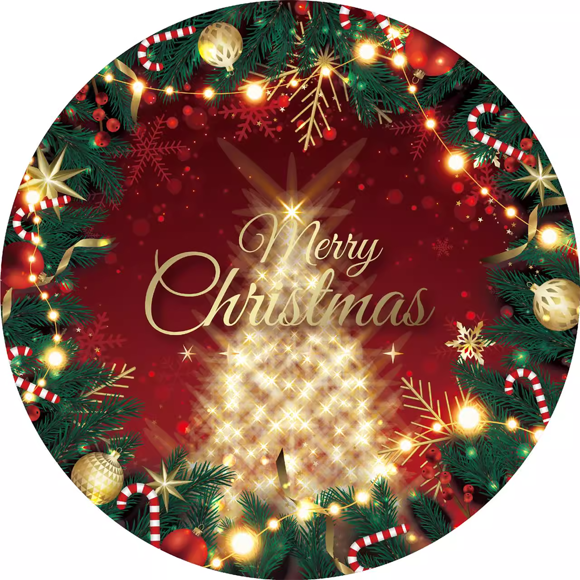 Wangsaura Green Christmas Party Decoration Paper Plates Tissue Paper Tablecloth Disposable Tableware Set
