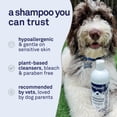 thumbnail image 5 of Petpost Dog Whitening Shampoo - Brightens White & Light-Colored Coats - Watermelon Scent for Maltese, Shih Tzu, Bichon Frise & Poodles - 8 oz, 5 of 10