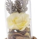 thumbnail image 3 of Tarros de Campana de Campana de Campana de Vidrio Transparente Decorativa Planta Amarillo Zulema Florero de preservación de flores, 3 of 8