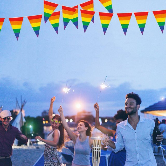 Banderines de arcoíris decorativos con forma de triángulo para el Orgullo Gay (10 m)