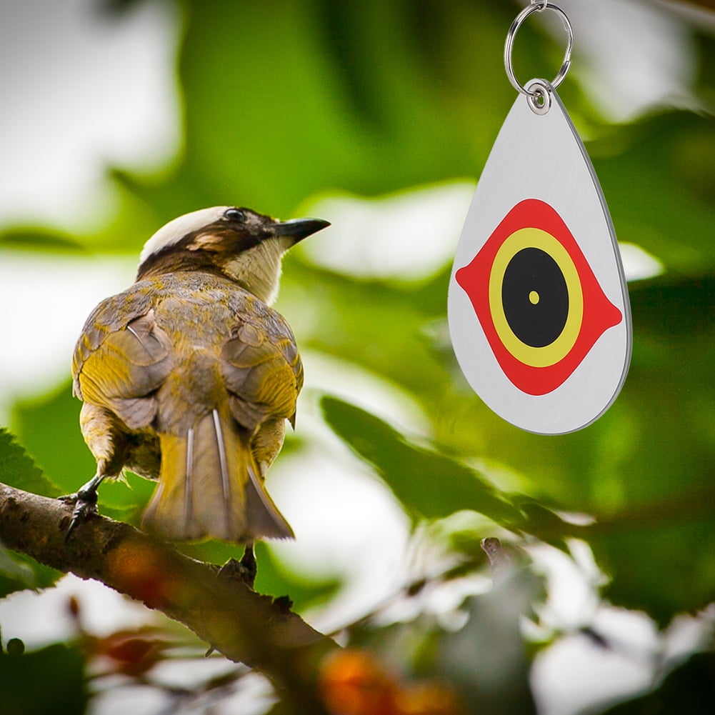 YLSHRF 5Pcs Eye Pattern Reflective Bird Repellent Decoration Ornament