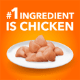thumbnail image 4 of Iams Proactive Health Healthy Senior with Chicken Dry Cat Food 1.6kg, 4 of 15