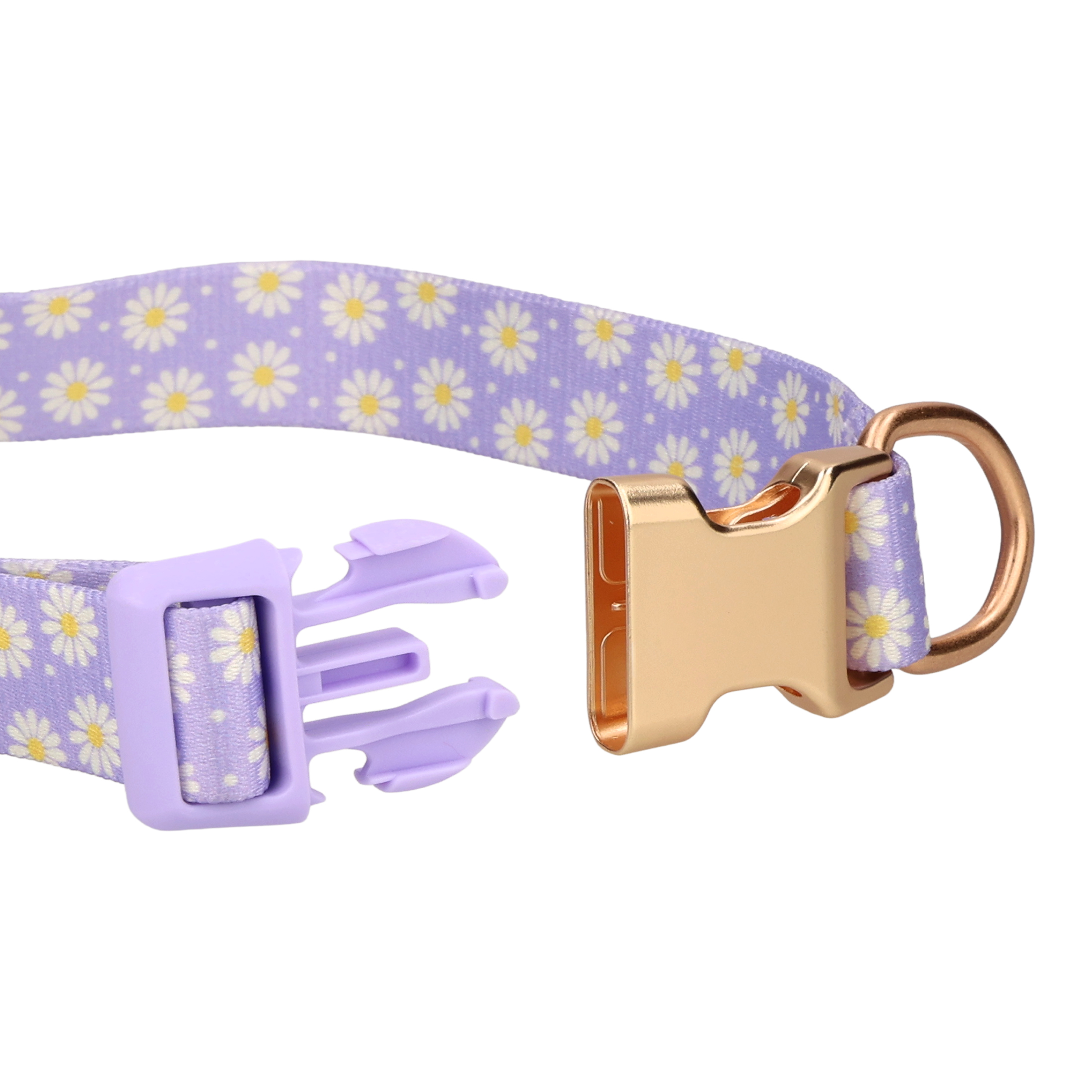 Vibrant Life Daisy Dreams Adjustable Dog Collar, Purple photo 8