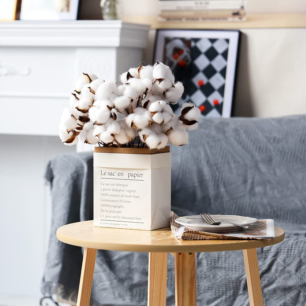 30PCS Natural Dried Cotton Stems 15" Tall, Rustic Cotton Sprigs for Vase Fillers, Floral Arrangements and Farmhouse Fall Decorations and DIY Crafts