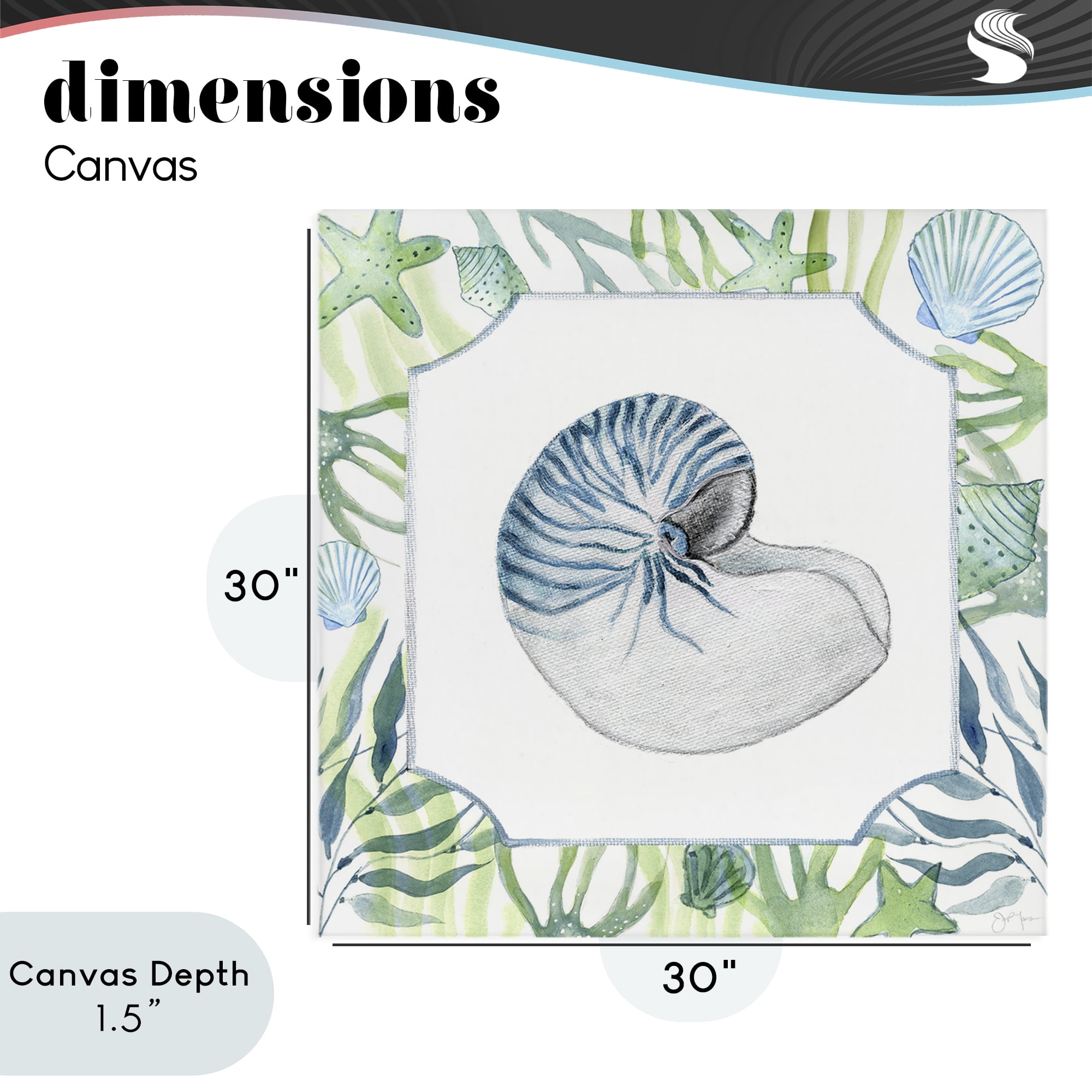 Stupell Industries Seaweed & Seashells Aquatic Canvas Wall Art, design by Janet Tava