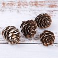 thumbnail image 5 of Happon Christmas Pine Cone Ornaments, 18 Pcs Pine Cone, Christmas Tree Snowflake Pine Cones Party Hanging Decoration, 5 of 6