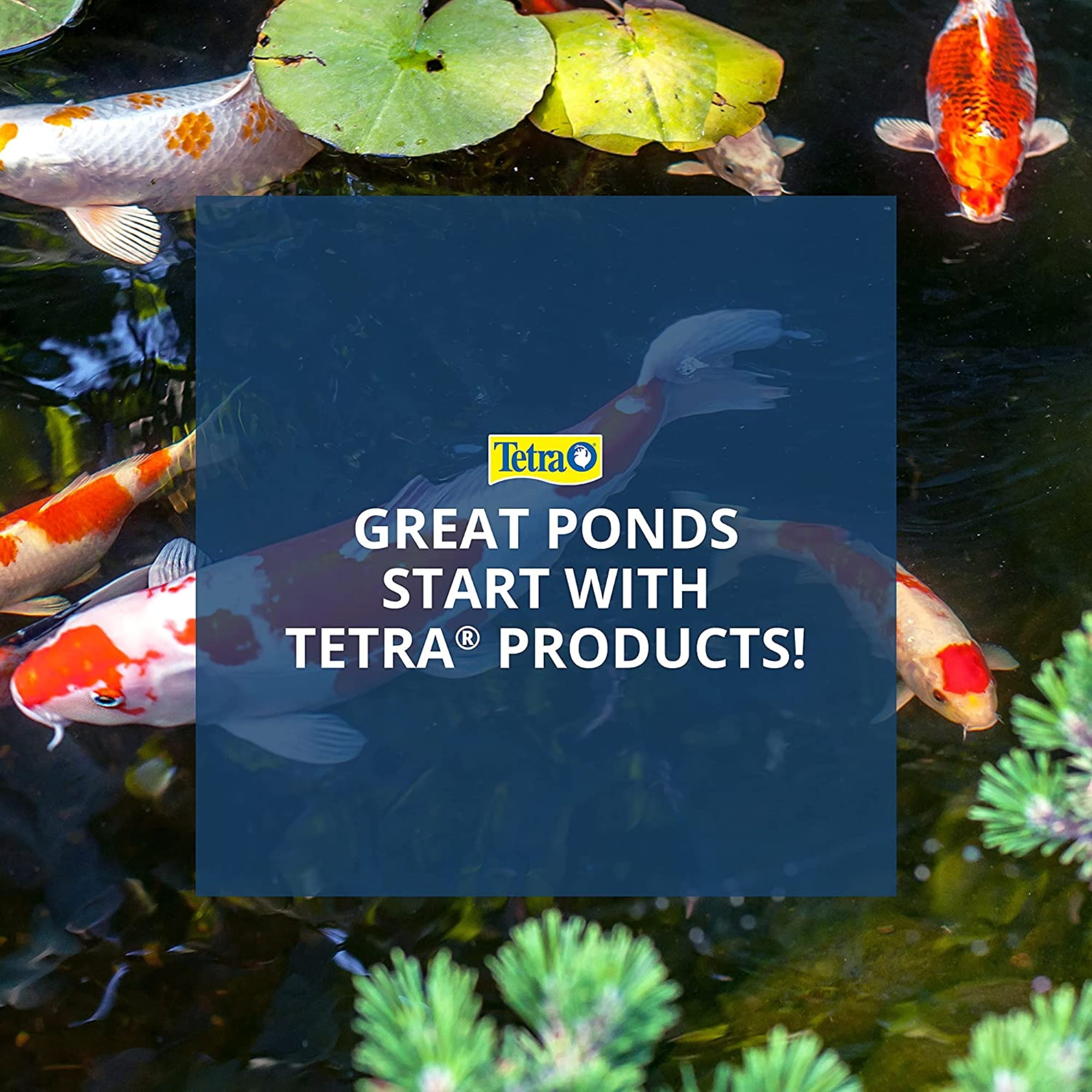 Tetra Pond Water Clarifier 16.9 Ounces, Clumps Contaminants, Clears Cloudy Pond Water