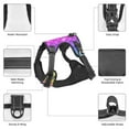 thumbnail image 6 of Lsque Rainbow Scales2 Dog Harness, No-Pull Pet Harness with 2 Leash Clips, Adjustable Soft Padded Dog Vest with Easy Control Handle for Large Dogs-Small, 6 of 9