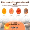 thumbnail image 4 of 30-Egg Automatic Incubator with Built-in LED Candler, Auto Turning & Humidity Control, External Water Inlet, Transparent ABS Cover, 50W Smart Hatcher for Chicken, Duck, Quail, Bird, Parrot Eggs –, 4 of 7