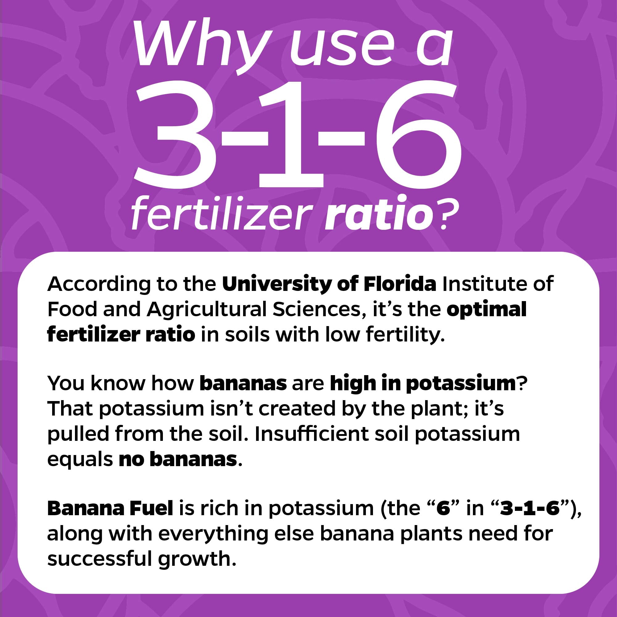Banana Fuel Liquid Fertilizer by Wellspring Gardens - Plant Fertilizer Concentrate - Plant Food - Formula for Banana Trees & Plants - Grow Healthy and Happy Plants - 32 fl oz