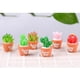 thumbnail image 2 of 6Pcs Pntas s Artificiales Selecciones s Tab Sunnimix Plantas suculentas artificiales, 2 of 8