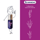 thumbnail image 2 of 5 Roll On Con Aceites: Menta, Lavanda, Eucalipto Y Más! 3ml VN NA, 2 of 6