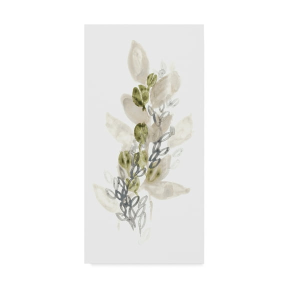 Trademark Fine Art 'Botanica Whimsy III' Canvas Art by June Erica Vess