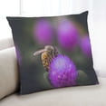 thumbnail image 1 of Ahgly Company Animals Bee Indoor Throw Pillow, 18 inch by 18 inch, 1 of 1