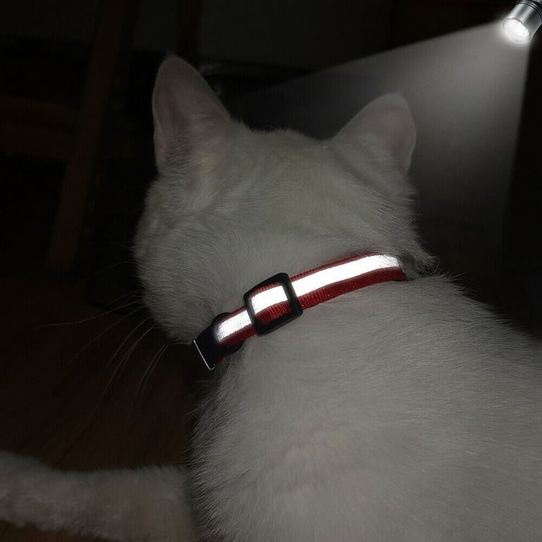 Pentagram cat collar online