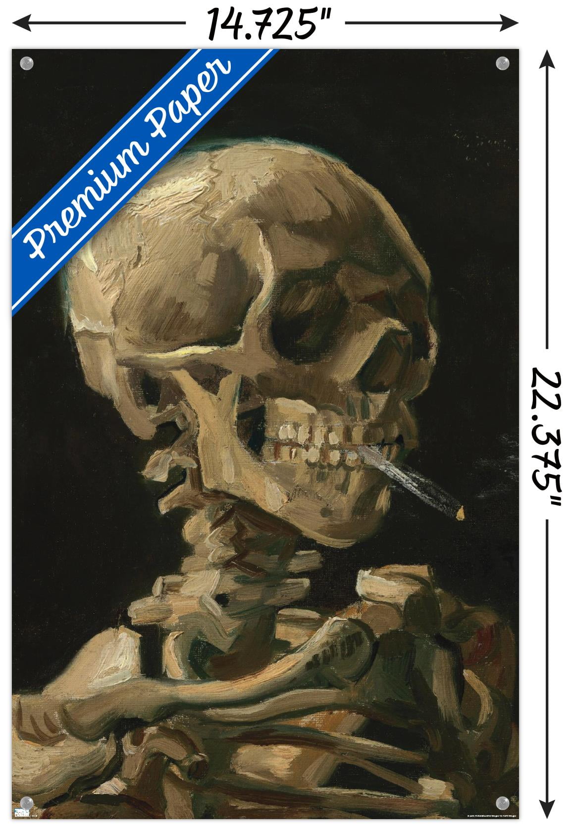 skull of a skeleton with burning cigarette price Skull of a Skeleton with