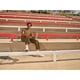 thumbnail image 5 of Botella de agua Stanley IceFlow Fast Flow de acero aislante de 500 ml, 5 of 6