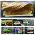 thumbnail image 4 of Clear Betta Fish Tunnel, Smooth Appearance Plastic Construction Comfortable Habitats Transparent Hollow Betta Fish Tube for, 4 of 7