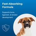 thumbnail image 4 of Supplement PetAg Sure Grow 100 Bone Development Puppies, 4 of 5