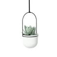 thumbnail image 4 of Umbra Triflora Hanging Planter Set of 5 White, 4 of 7