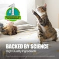 thumbnail image 2 of Dasuquin for Cats Soft Chews 84ct, 2 of 10
