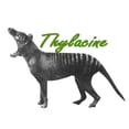 thumbnail image 2 of CafePress - Thylacine Mug - 11 oz Ceramic Mug - Novelty Coffee Tea Cup, 2 of 3