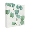 thumbnail image 2 of Trademark Fine Art 'Mixed Greens LII' Canvas Art by Lisa Audit, 2 of 3