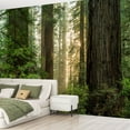 thumbnail image 2 of Peel and Stick Wallpaper Waterproof Sunrise Redwood forest Wall Mural Decor Self Adhesive and Removable 69in x 98in, 2 of 8