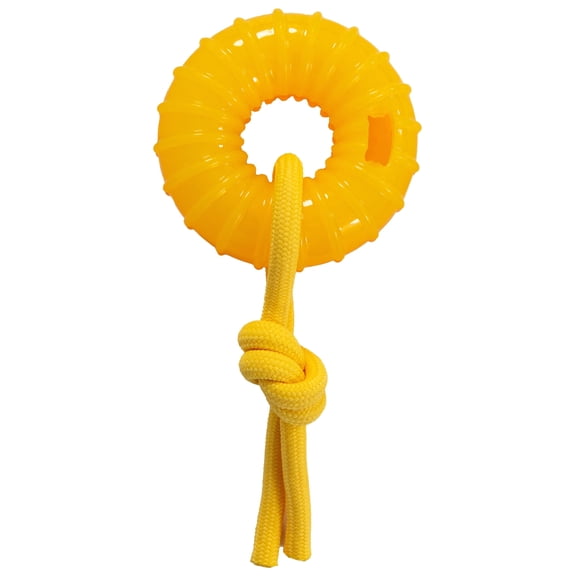 Outward Hound Gummiez Peach Ring 2-in-1 Dental Dog Chew Toy, Orange, Interactive for All Dog Sizes