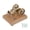 M17, variant on Mini Four-Stroke Gasoline Engine Model Kit, Brass Stainless Steel on Wood Base, Desktop Collectible Gift for Adults & Hobbyists