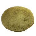 thumbnail image 1 of Advancent Alfombras mullidas antideslizantes, alfombra peluda, alfombra para el suelo, habitación, hogar, dormitorio, alfombra redonda Decoración del hogar Pasto verde 1.2 m, 1 of 3