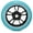 Teal and Black, variant on Envy 100mm Wheels Pink and Black