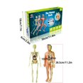 thumbnail image 4 of HLONK Human Anatomy Skeleton Model Teaching Aid Steam Science Education Kids Learning, 4 of 6