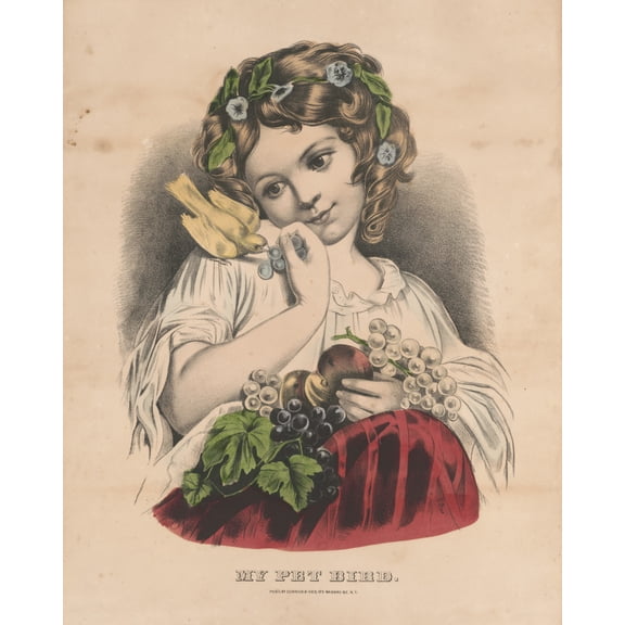 Print: My Pet Bird, circa 1850
