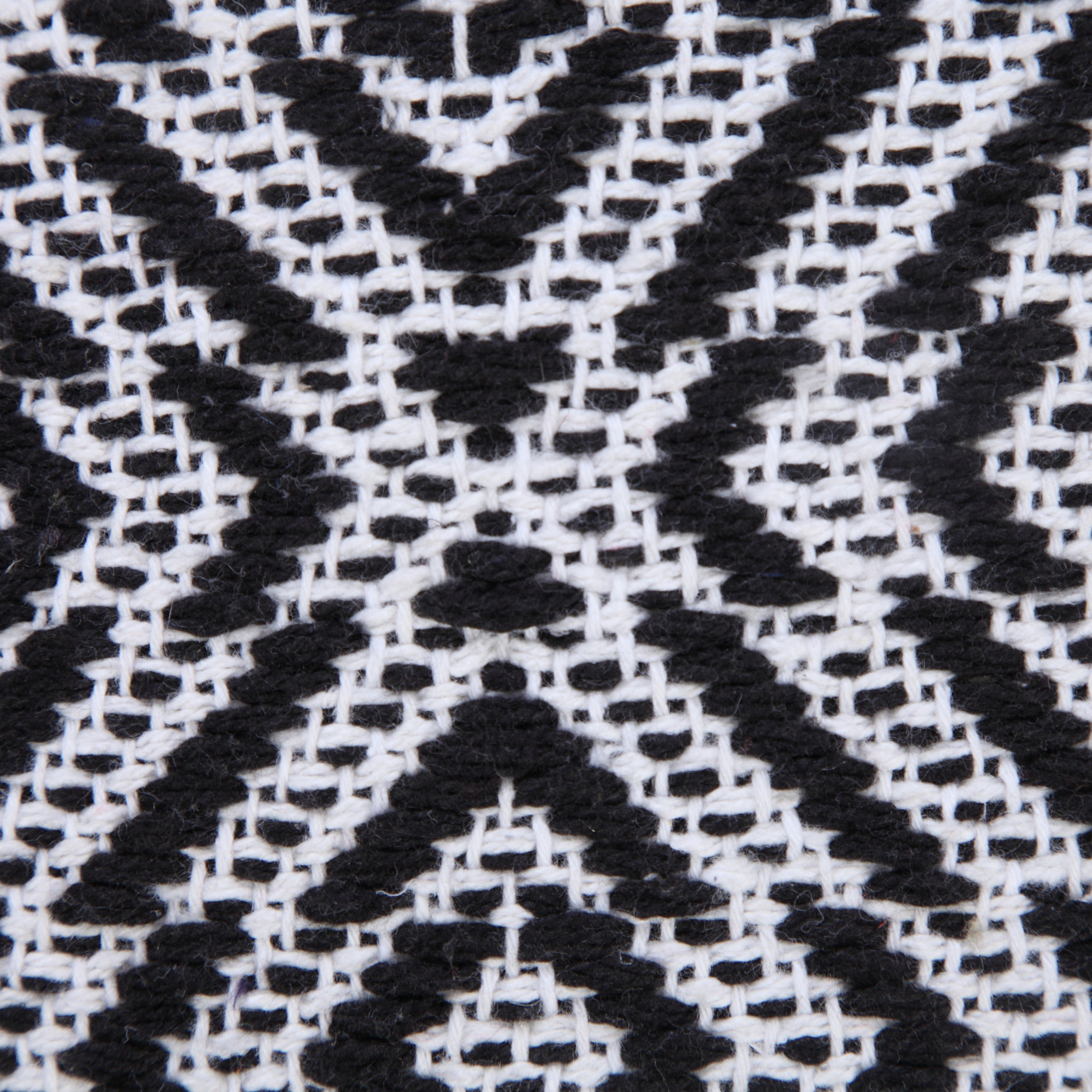 Harlow Hill Hampton 20" x 20" Geometric Cotton Adult Decorative Feather Filled Pillow, Black/White