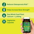 thumbnail image 3 of Garden of Life Vitamin Code Raw Calcium, 60 Vegetarian Capsules, 3 of 8