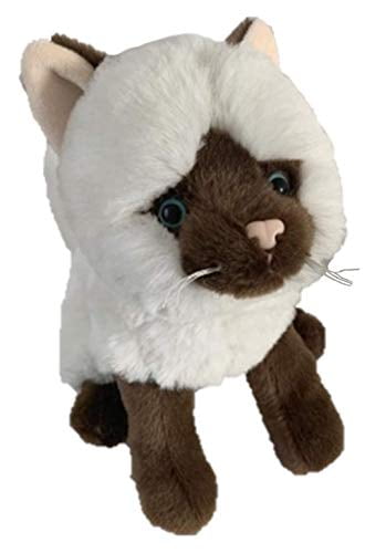 cats and stuffed animals