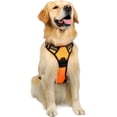 thumbnail image 3 of Rabbitgoo Arnés para Perros, Arnés para Mascotas Sin Tirones con 2 Clips para Correa, Chaleco Acolchado Suave Ajustable para Perros, Chaleco Oxford Reflectante para Mascotas sin Estrangulamiento con M, 3 of 4