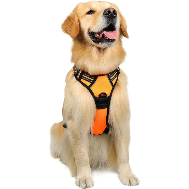 Rabbitgoo Arnés para Perros, Arnés para Mascotas sin Tirones con 2 Clips para Correa, Chaleco para Perros Acolchado Suave y Ajustable, Chaleco Oxford Reflectante para Mascotas sin asfixia con asa de f