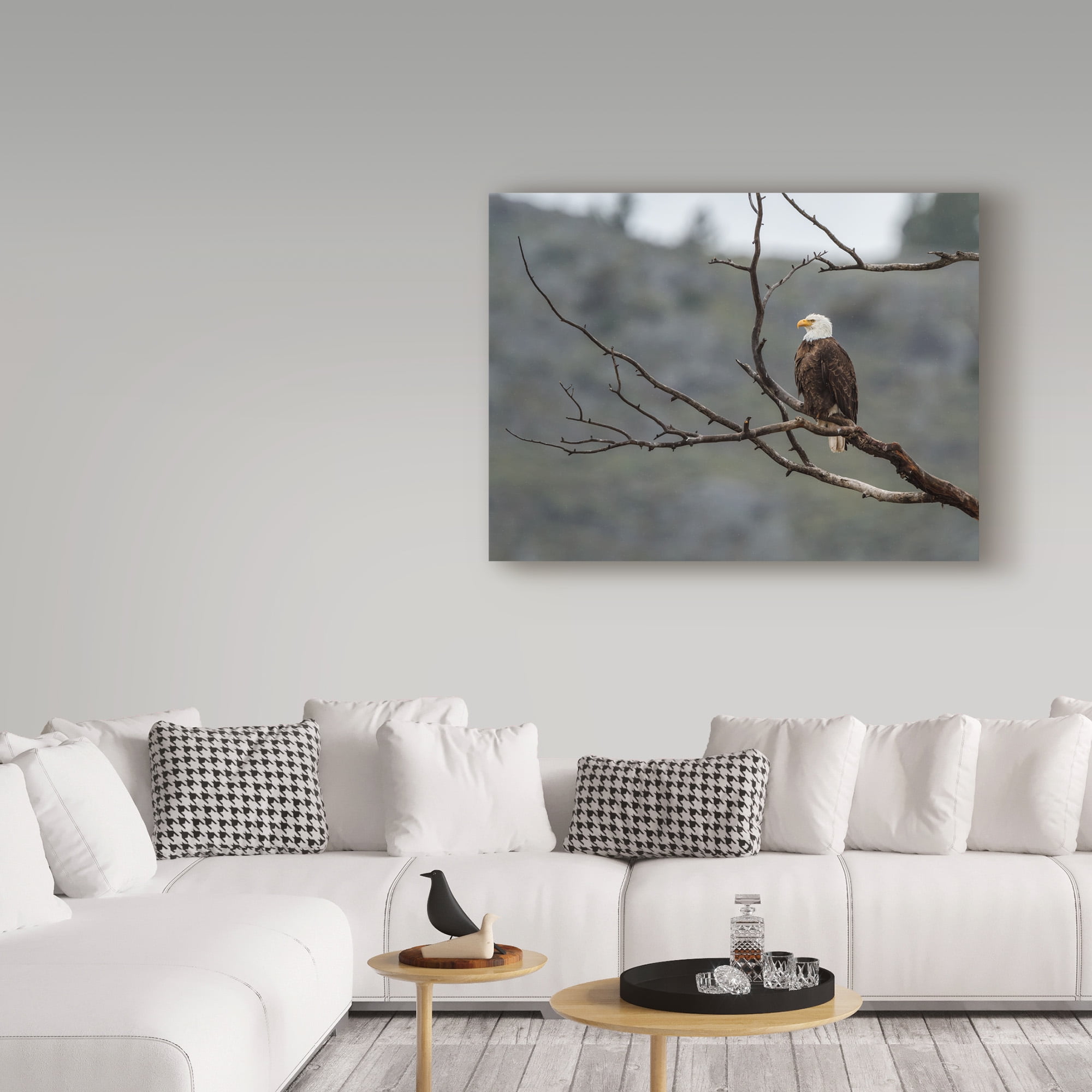 Trademark Fine Art 'Bald Eagle Perched' Canvas Art by Galloimages Online